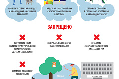 Информацию о правилах содержания и выгула собак